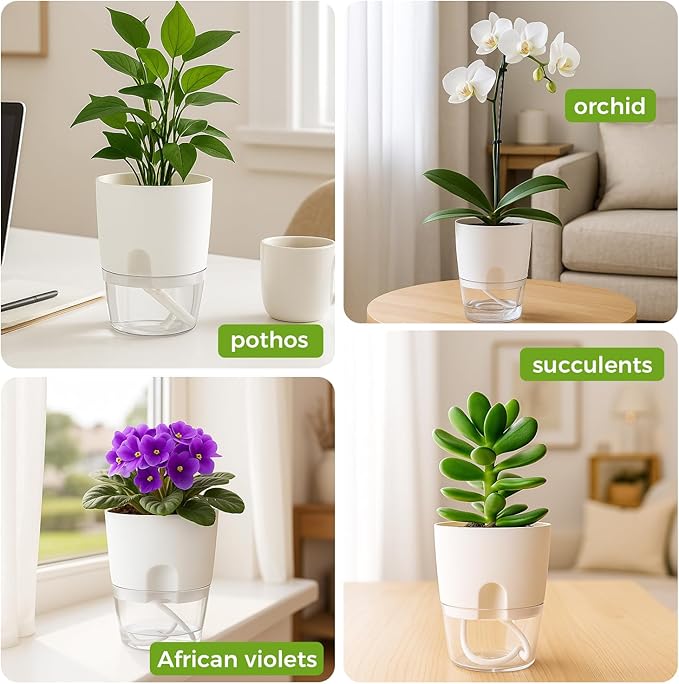 6 Pack Self Watering Pots for Indoor Plants, PlanterHoma 3.2/4/6 Inch Plant Pot Plastic Self Watering Planter for Orchid, African Violet, Small Clear Flower Pots with Drainage Holes and Wicking, White