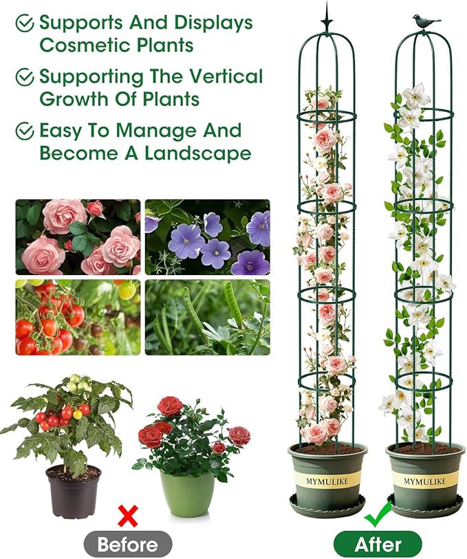 2PCS Garden Trellis for Climbing Plants, 6.2FT Rustproof Metal Pipe with Heavy Duty Plastic Coated, Garden Outdoor Indoor Potted Plant Support, Obelisk Garden Trellis for Climbing Vine (Green)