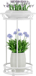 Plant Stand Indoor Outdoor - Metal Planter Holder Shelf Tall Tiered Flower Pot Display Organizer Rack for Garden, Patio, Living Room, Bathroom, Office (White)