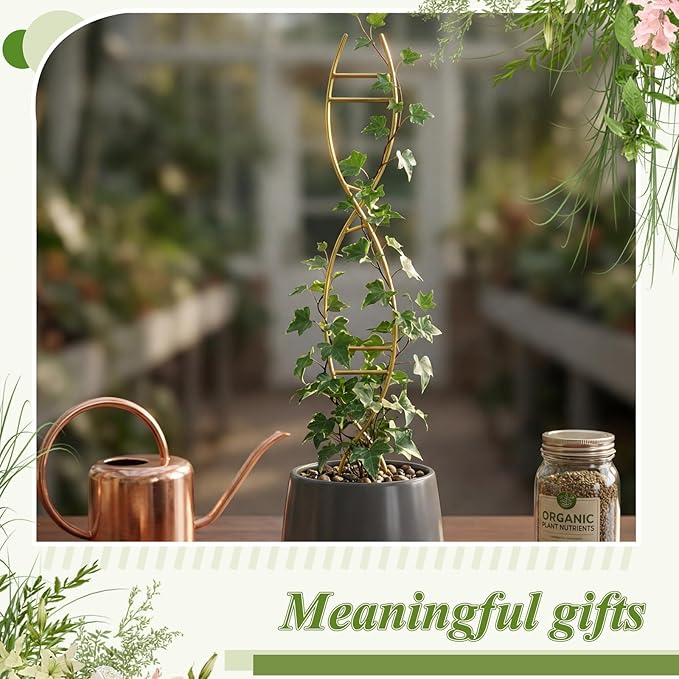 3 Pcs 15.75 Inch Indoor Plant Trellis for Potted Plants Small Climbing Plant Trellis for Pots with Unique DNA Spiral Design for Vine Plants, Easy Installation for Indoor Outdoor Use