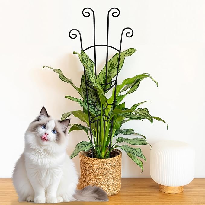 32.6in Monstera Plant Support Stakes for Indoor Plants, Metal Garden Plant Trellis for Climbing Plants, Pothos Vine Snake Climber Support，2p