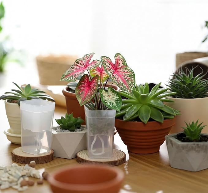 LemonRoad 20 Pack 2" and 2.5" Small Self Watering Pots for Indoor Plants with 20 Plant Label Mini Clear Plastic Planters with Water Level and Drainage Hole for Propagation, Succulents, African Violet