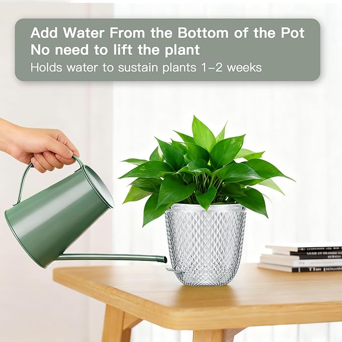 QCQHDU Self Watering Hanging Pots, 2 Pack 7.2 Inch Hanging Planters for Plants Indoor, Outdoor Flower Pots with Drainage Holes and 3 Hooks Chains for Garden Home (Clear)