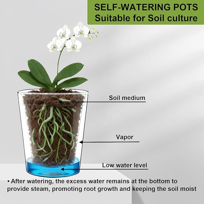 3 Pack of 6in Plastic Cachepot with 6 inch Clear nusery Pot - self Watering Indoor Planter with Drainage for Root Visibility,semi Hydro pots for repotting Orchids,Aroid or Monstera,Black