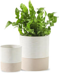 Nihow Self Watering Plant Pot for Indoor Plants: 4.5+6 Inch Ceramic Planter with Drainage Hole & Water Storage Plus - Cylinder Flower Pot with Wick for Herbs -White & Brown
