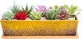 Succulent Pots - Large Succulent Planter Pots with Drainage, 12 Inch Long Rectangle Bonsai Pot with Bamboo Tray Shallow Ceramic Cactus Flower Planter Window Box for Home Garden Decor (Yellow)