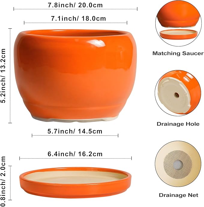 SQOWL Ceramic Pot for Plants - 8 Inch Plant Pot Indoor Outdoor, Modern Round Planter with Drainage Hole and Saucer, Decorative Planter for Flower, Office Decor, Garden Gifts for Women, Orange