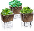 Self Watering Pots Set, 3 Pack 2.7 Inch Pots for Indoor Plants, Clear Nursery Planter with Deep Reservoir for Succulents, Seedlings, Small Plants