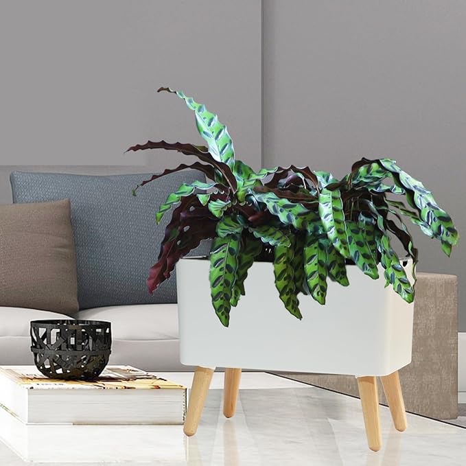 13.5 Inch Indoor Decorative Planter Pot with Solid Wood Legs, Self Watering Pots with Water Shortage Alarm Plant Pot for Modern Flower Planter for Home & Garden(White)