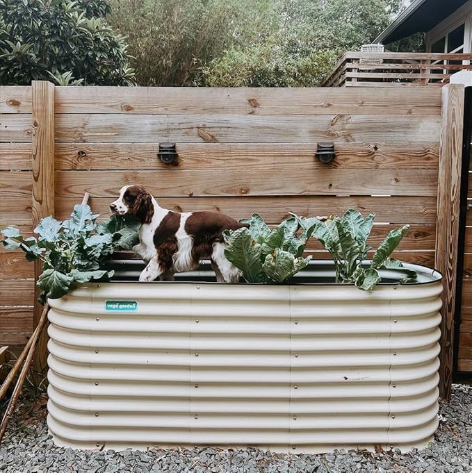 32" Extra Tall Raised Garden Bed Kits, 3.5 x 5 x 2.7ft Raised Planter Box Outdoor, 2 x 6.5 x 2.7ft Deep Root 6 in 1 Modular Metal Raised Beds for Gardening Vegetables Flowers Fruits - Pearl White