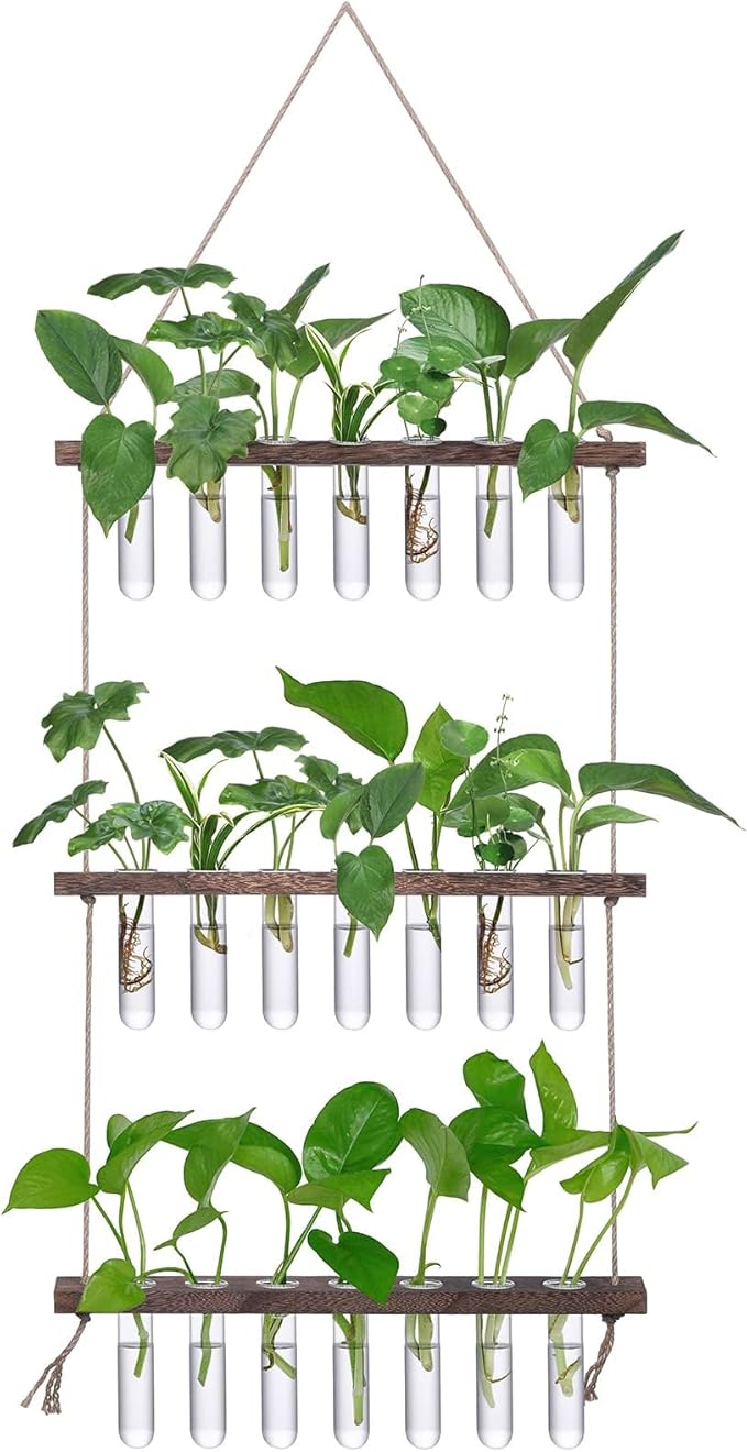 XXXFLOWER Wall Hanging Propagation Station with Wooden Stand 21 Glass Test Tubes 3 Tiers Planters Wall Terrarium for Home Office Plant Hanger Flower Vases Wall Decor Hydroponic Cuttings