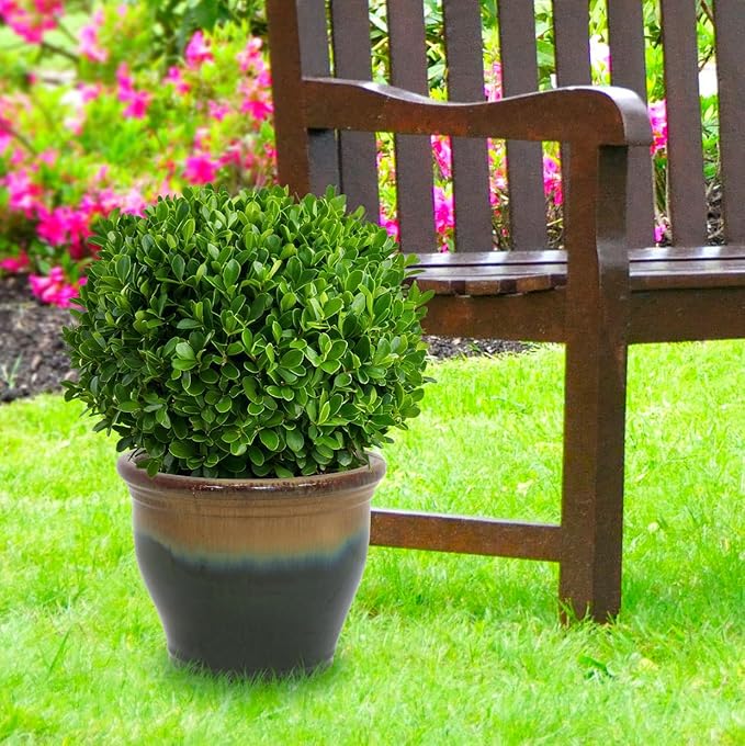 Sunnydaze Large Ceramic Plant Pot - Round Outdoor Glazed Ceramic Planter Pot with Drainage - Studio - Forest Lake Green - 14.5"