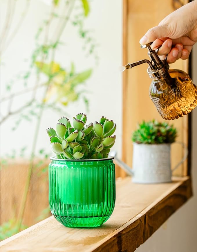 Melphoe Self Watering Pots for Indoor Plants Planter, 4.3 Inch 2 Pack Planters Self Watering Plant Pots for Flower, Houseplants, Succulent, African Violets and Cactus with Drainage