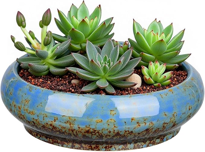7.3 Inch Succulent Planters Pots Shallow Ceramic Glazed Planter Pots, Lotus Bowl Planter Round Shallow Planter Water Lily Pot for Indoor/Outdoor Plants Decorative (Blue)