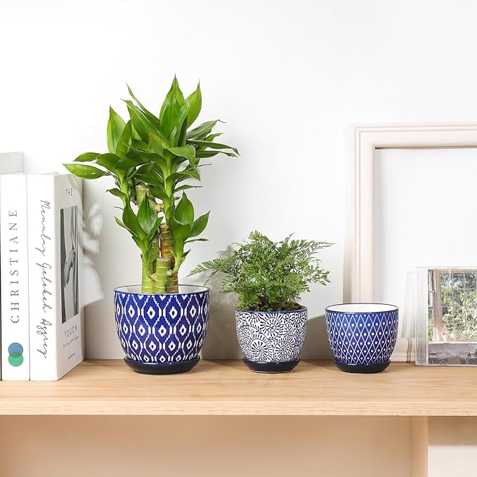 Selamica Ceramic Succulent Pots, 3.5 Inch Small Plant Pots for Indoor Plants Cactus Herbs, Succulent Planters with Drainage Holes & Saucers, Home Decor, Set of 6, Vintage Blue