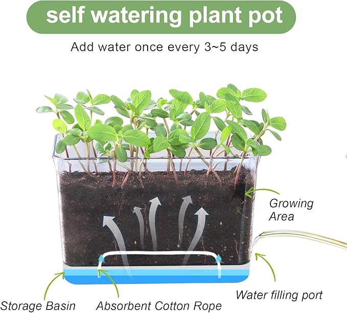 Self Watering Planters - 4 Pack Rectangular Clear Plant Pots with Drainage Holes for Indoor Plants