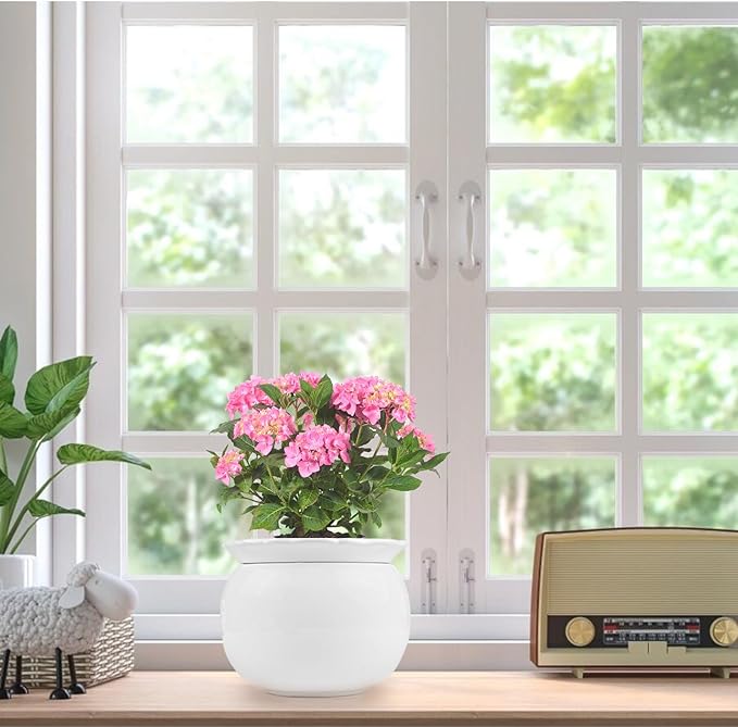 BUYMAX African Violet Pots, 6 inch Ceramic Easy Self Watering Plant Pot for Busy Plant Lovers, Automatically Absorb Appropriate Amount of Water, Flower Pot Indoor-Plants Not Included