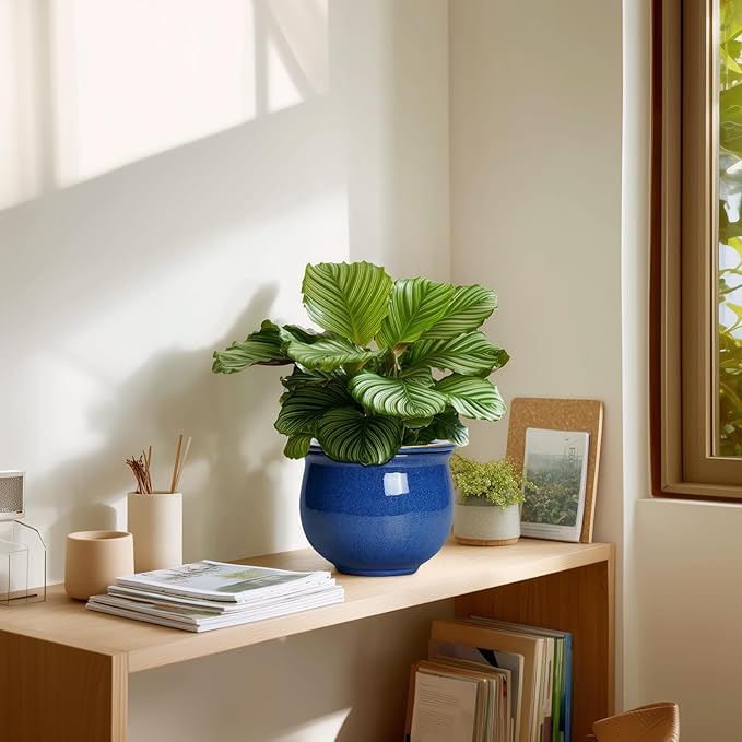 6 Inch Self Watering Pots, Ceramic African Violet Planter with Absorbent Inner Pot, Round Flower Pot for Indoor Plants, Ceramic Pots for Plants, Room Home Decor, Plant Lover Gifts, Blue