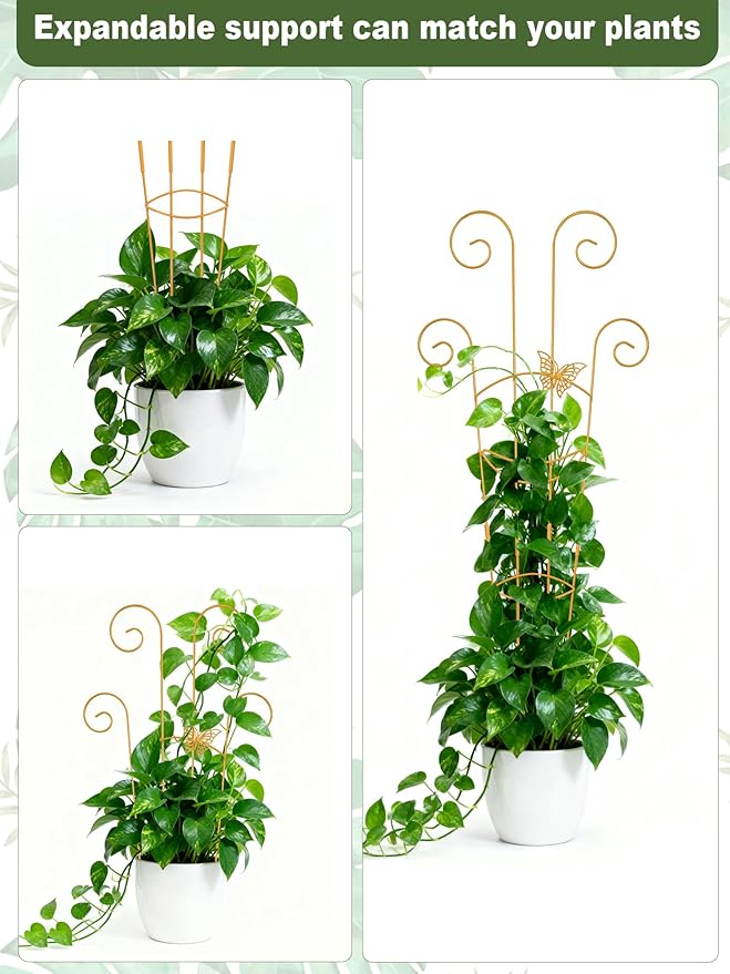 4Pcs Indoor Plant Trellis for Potted Plants, 30" Taller Expandable Garden Metal Trellis for Climbing Plants Outdoor, Houseplant Support Stakes for Ivy Pothos Hoya Flower (Gold)