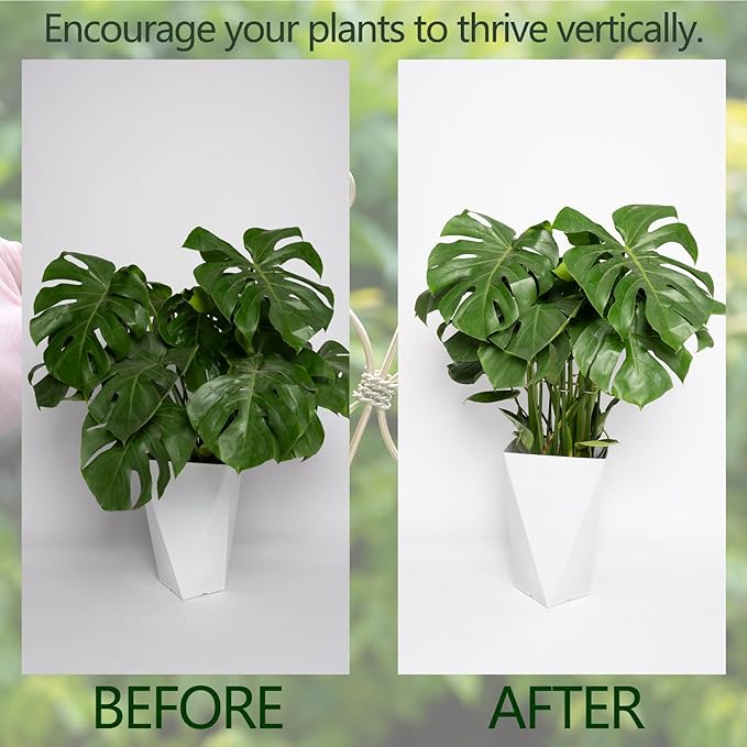 6.5IN Monstera Plant Support Hook 5PCS Durable Stem Stabilizer for Indoor Plants | Easy Setup 5-Piece Set Ideal for Turtle Shell Leaf Support Ideal Present for Plant Lovers & Home Garden Décor