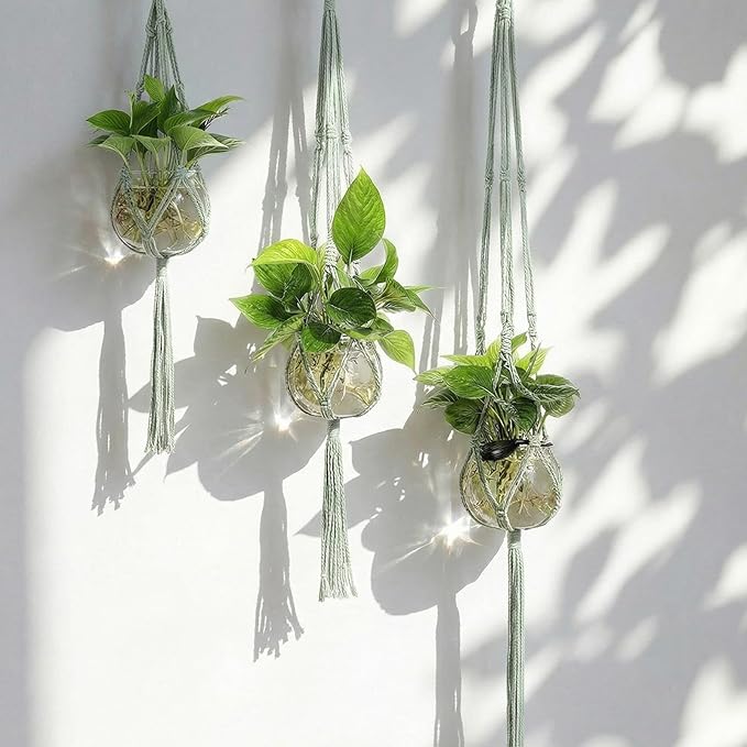 6 Pcs Plastic Plant Propagation with Boho Macrame Hanger Wall Plant Propagation Station Hanging Holder Include Hooks Kit for Indoor Home Garden Office Decor 3 Size (Sage Green)