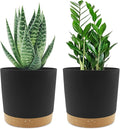 QCQHDU 6.5 inch Plant Pot, 2 Pack Planters for Indoor Plants with Drainage Holes & Saucer, Outdoor Flower Pots Home Garden Modern Decor