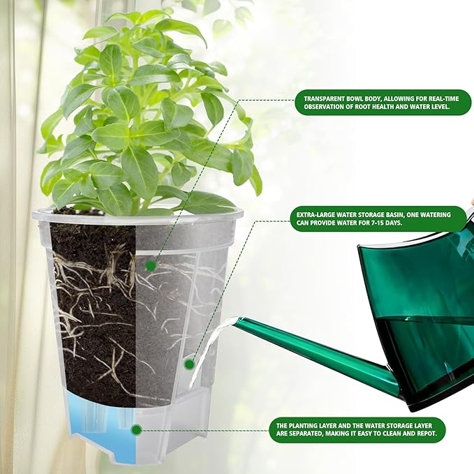 Cdd's Path Large Naked Root Planter Self Watering Pots Set with Holes for Indoor/Outdoor Plants, Planter Pot with Watering Hole/Reservior and Air Pipes (Clear, 8 inch-5 Pack)