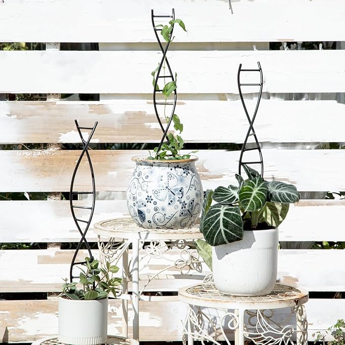DNA Spiral Plant Trellis Indoor - Durable Metal Trellis for Potted Plants, Perfect for Small Houseplant Pots, Ideal for Ivy and Pothos, Space-Saving Vertical Support for Climbing Growth