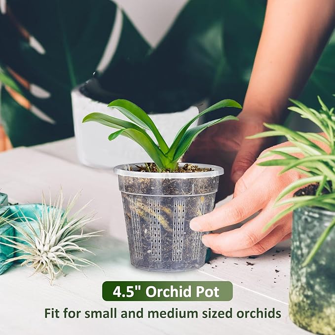 Orchid Pot, 6 Packs of 4.3" Orchid Pots with Holes, Orchid Pots for Repotting, Plastic Orchid Planter for Indoor Outdoor Plants (6 Packs, 4.3")
