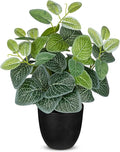 14.5" Artificial Plants Indoor Home Decor, Fake Potted Silk Plants for Shelves, Desks, Living Room, Home & Office Decor, Small Artificial Nerve Plant in Pots, Faux Potted Greenery Tropical House Plant