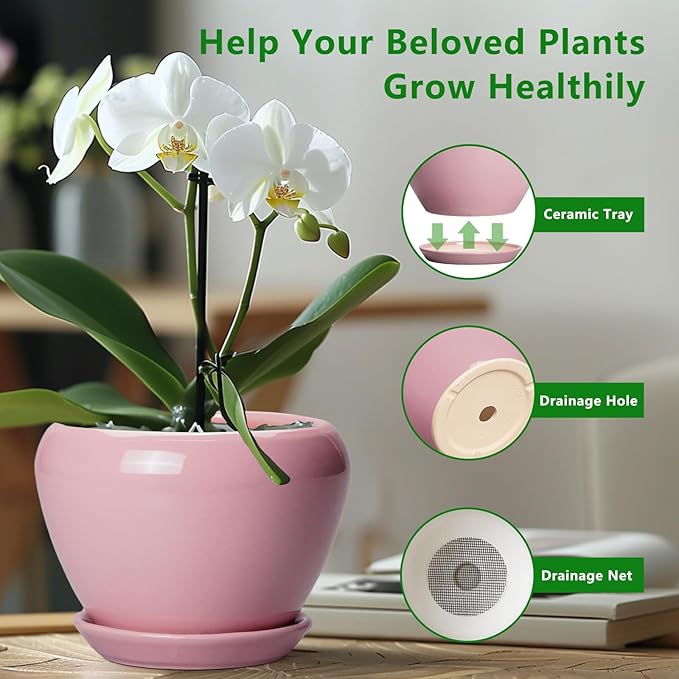 Ceramic Modern Glaze Succulent Planter Pot with Drainage Hole and Saucer 8 Inch Round Flower Plant Pot for Indoor Outdoor Herb Snake Plants, Pink