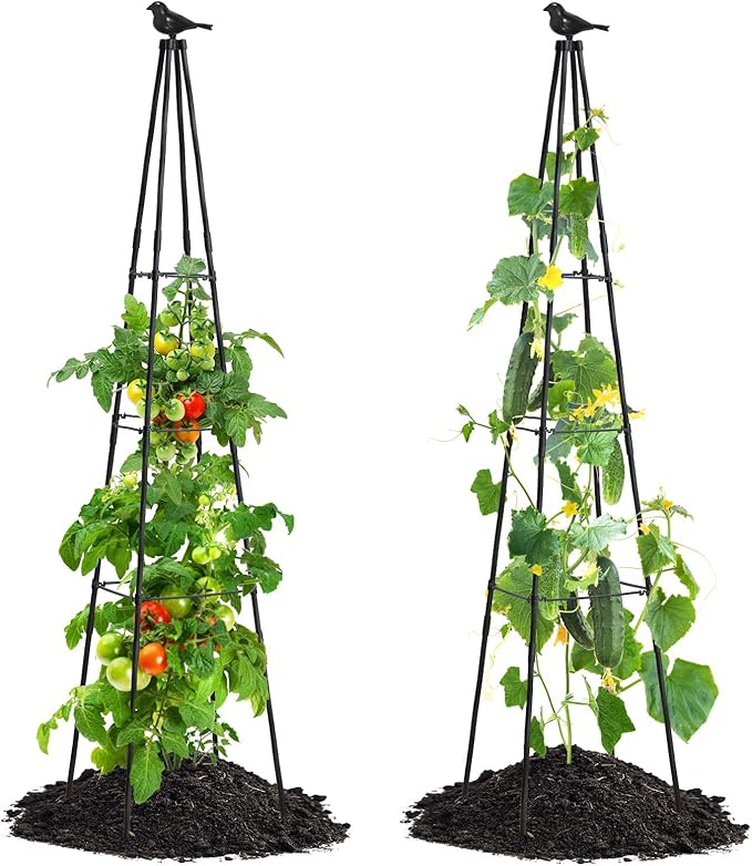 Cucumber Trellis, 67" Tall Obelisk Garden Trellis for Climbing Plants Outdoor Plastic-Coated Metal Support for Flower Vine Vegetable Tomato Cage Cucumebr Trellis Raised Bed, Black, 2 Pack