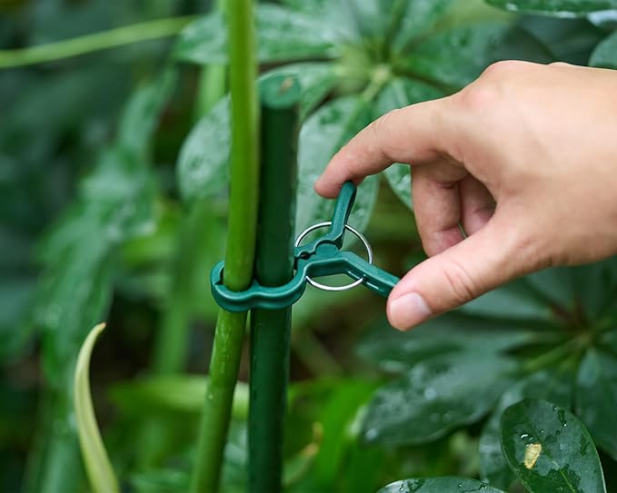 Garden Plant Clips 50 Pack Big Size Dark Green, Reusable Garden Plant Supports Clips for Supporting Stems of Flower Vine Vegetables Tomatoes Climbing