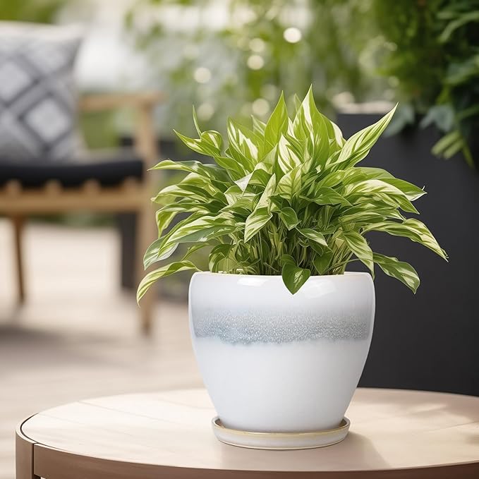 6.3 Inch Plant Pot - Ceramic Planters for Indoor Ourdoor Plants, Modern Succulent Pot, Round Planter with Drainage Hole and Saucer, Room Office Garden Home Decor, Plant Lover Gift, White-Grey