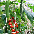 Trellis Netting, CANAGROW Heavy-Duty Garden Plant Trellis Netting for Climbing Plants, Outdoor Indoor Grow Net for Beans Tomatoes Peas Pumpkin Flowers, 𝟔 𝐱 𝟑𝟎𝐟𝐭, 𝐏𝐚𝐜𝐤 of 4