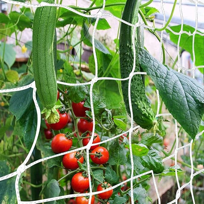 Trellis Netting, CANAGROW Heavy-Duty Garden Plant Trellis Netting for Climbing Plants, Outdoor Indoor Grow Net for Beans Tomatoes Peas Pumpkin Flowers, 𝟔 𝐱 𝟑𝟎𝐟𝐭, 𝐏𝐚𝐜𝐤 of 4
