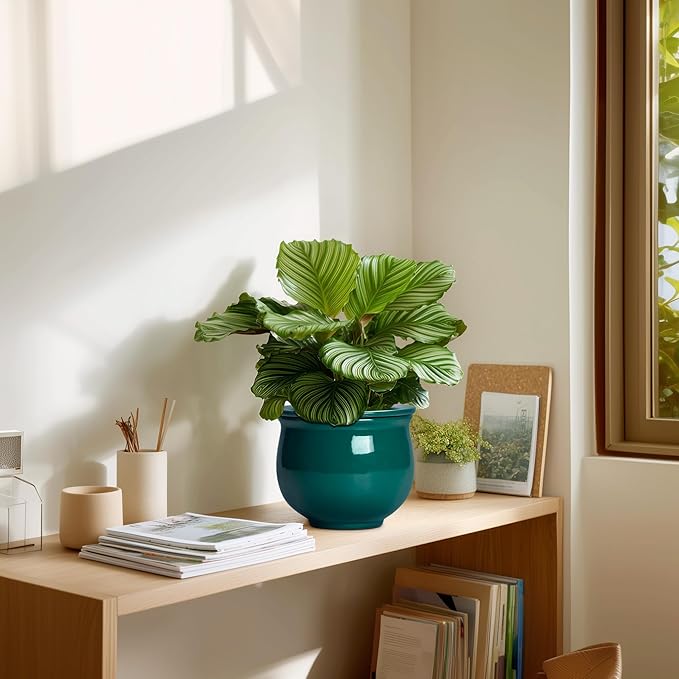 6 Inch Self Watering Plant Pots, Ceramic African Violet Pot with Absorbent Inner Pot, Easy Self Watering Pots for Indoor Plants, Ceramic Planter, Room Decor, Plant Lover Gifts, Blackish Green