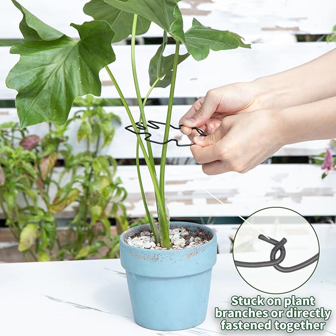 Monstera Plant Stem Support Set - 5pcs 4.13x2.95 inches Durable Supports for Indoor Climbing Plants - Easy-to-Use Stabilizers for Healthy Growth and Elegant Garden Decor