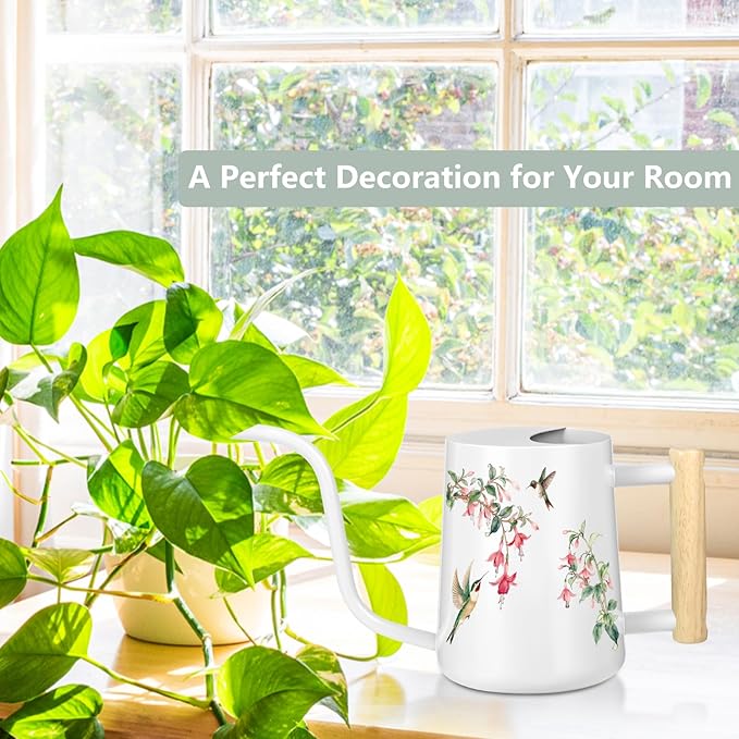 Watering Can Indoor Plants, 35oz Small Stainless Steel Metal Watering Can Modern Decorative Watering Pot with Long Spout for Indoor House Plant Bonsai Garden Flowers (White 1)
