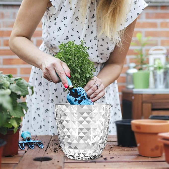 Self Watering Pots for Indoor Plants, Flower Pots, Self Watering Plant Pot-3pcs 6inch Clear