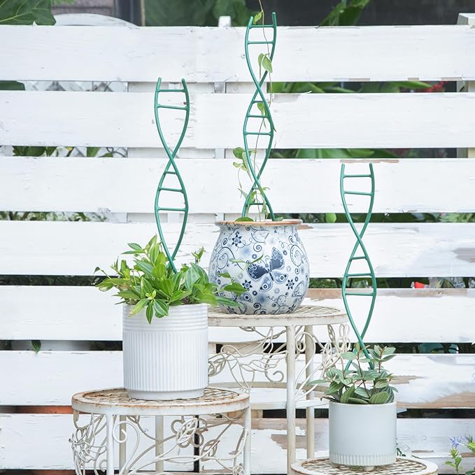 Indoor Plant Trellis - DNA Spiral Design Metal Trellis for Potted Plants, Stylish Climbing Support for Small Houseplants, Durable & Easy to Install Garden Upgrade for Vining Plants