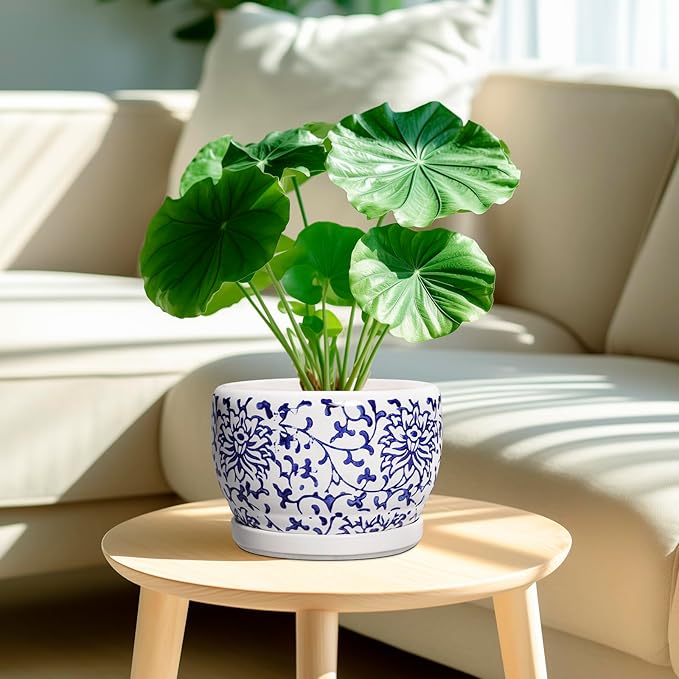 SQOWL Ceramic Pots for Plants - 8 inch Ceramic Planter with Drainage Hole and Saucer, Round Flower Pots for Indoor Plants, Porcelain Planter Outdoor, Porch Decor, Gifts for Women Men, Blue and White