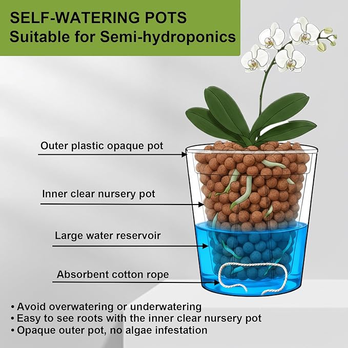 3 Pack of 6in Plastic Cachepot with 6 inch Clear nusery Pot - self Watering Indoor Planter with Drainage for Root Visibility,semi Hydro pots for repotting Orchids,Aroid or Monstera,Black