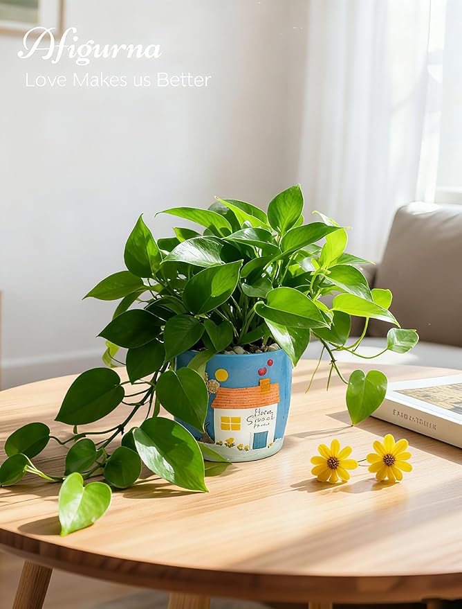 New Home Gift Ideas: New Home Apartment Plant Gift for Plant Lover - 5.3in Hand-Painted 3D Art Planter - Gardening House Warming Present for Christmas