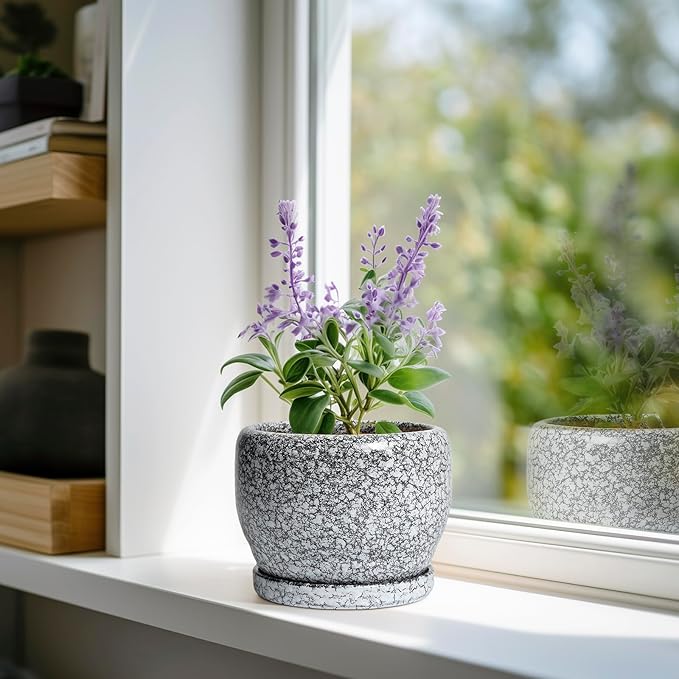 SQOWL Ceramic Pot for Plants - 6 Inch Ceramic Planter for Indoor Outdoor, Decorative Plant Pot with Drainage Hole and Saucer, Round Planter for Flower, Bedroom Decor, Garden Gifts, Black and White
