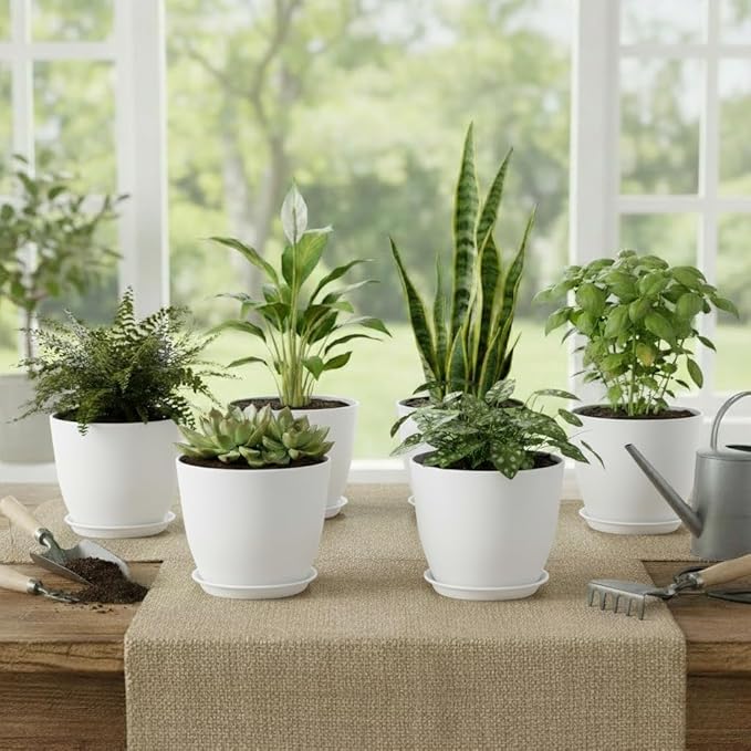 Plant Pots 8 Inch Set of 6, Flower Pots with Drainage Holes and Saucer, Plastic Garden Planters for Indoor & Outdoor Plants (White)