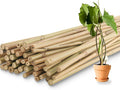 50Pcs / 3ft Bamboo Plant Stakes for Indoor Outdoor Plants, Garden Plant Support Sticks, Poles for Tomato Vegetables Beans Trees Potted Climbing Plants(0.32''-0.4'')