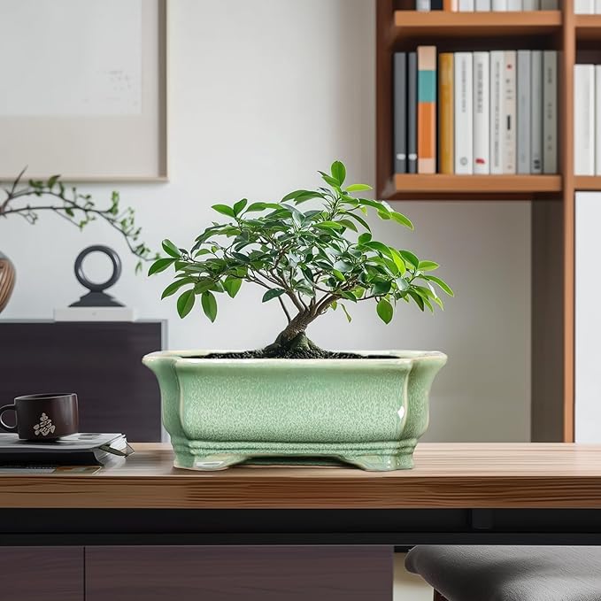 Bonsai Tree Pot 11.6 Inch - Ceramic Succulent Pots, Bonsai Planter for Indoor Outdoor, Decorative Plant Pot with Drainage Hole, Rectangular Flower Pot, Home Garden Decor, Garden Gifts, Green