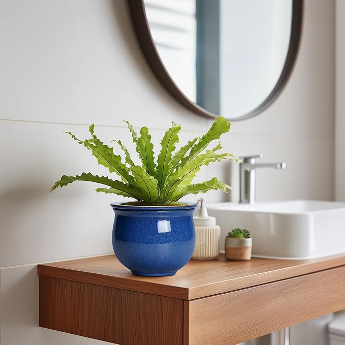 6 Inch Self Watering Pots, Ceramic African Violet Planter with Absorbent Inner Pot, Round Flower Pot for Indoor Plants, Ceramic Pots for Plants, Room Home Decor, Plant Lover Gifts, Blue
