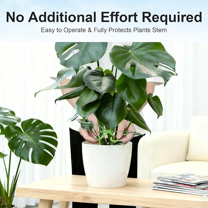 20pcs Plant Stem Support, Unique Design Stem Supports for Indoor Plants, Monstera Plant Support for Thriving Growth, Four Different Size Combinations Indoor Plants Accessories (Green)